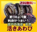 瀬戸内産　天然アワビ5個セット【送料無料】