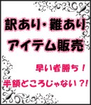 訳あり・難あり商品☆超特価☆