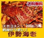 瀬戸内産　天然イセエビ【送料無料】