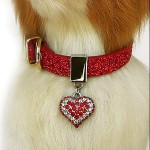 犬　首輪【Twinkle collar red heart】