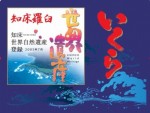 北海道ラウス産秋鮭イクラ醤油漬け500ｇパック