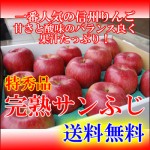 送料無料！お歳暮に信州産の完熟サンふじ贈答用≪特秀品≫３ｋｇより