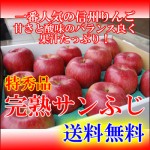 送料無料！お歳暮に信州産の完熟サンふじ贈答用≪特秀品≫３ｋｇより