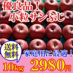 自家用にお買い得なりんご【小玉サンふじ】～まるかじり食べきりサイズ～　送料無料でお得な１０ｋｇです！