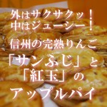 信州の完熟りんご使用　「サンふじ」と「紅玉」の【アップルパイ10個セット】送料無料！