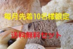 数量限定　送料無料お試しセット