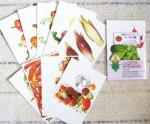 野菜のポストカード『赤い野菜篇』
