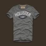 ホリスター/Tシャツ：Oceanside - Heather Grey