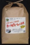 のがわファームのお米　山形天童市産はえぬき5kg