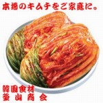 白菜キムチ500ｇ