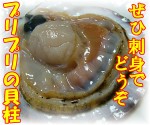 北海道産　殻付き生ほたて　1kg(5枚～6枚)