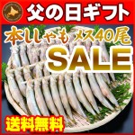 【父の日ギフト】【送料無料】北海道産本ししゃも一夜干し約400g（本ししゃもメス40尾）海産物ギフトに【父の日プレゼント】