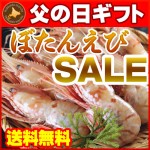 【父の日ギフト】【送料無料】ぼたんえび500g【贈り物　ぼたんえび】新鮮なまま急速冷凍されたボタン海老【父の日プレゼント】