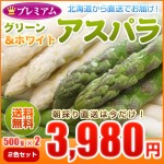 【送料無料】プレミアムアスパラガス（Ｌ／２Ｌ混）グリーン500g＋ホワイト500gのセット 旬の北海道産を産地直送！【5月下旬発送】