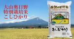 特別栽培米　日野米こしひかり5kg