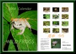 2008年 WILD FROGS カエルカレンダー