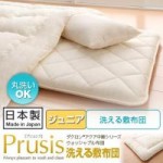 ダクロン(R)アクア中綿シリーズウォッシャブル布団【Prusis】プリュシス 洗える敷布団:ジュニア