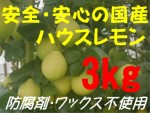 国産ハウスレモン（秀）3kg