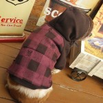 犬　パーカー【Lumberchic Brown】