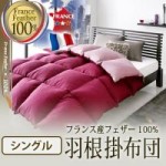 【送料無料】フランス産フェザー100%羽根掛布団　シングル （40200707）