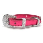 犬　首輪【Royal dog_Metallic Hot Pink】