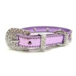 犬　首輪【Foxy Jewel Metallic Lilac】