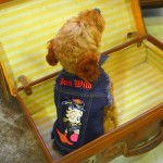 犬　デニムジャケット【Born Wild】
