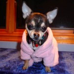 犬　パジャマ【Pink バスローブ】