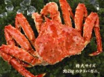 特大２ｋｇ！本タラバガニ浜茹で(オス)