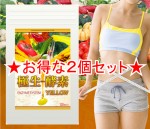 【即日発送+メール便送料無料】 極生酵素 エンザイムシステム YELLOW 2個セット