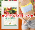 【即日発送+メール便送料無料】 極生酵素 エンザイムシステム GREEN 3個セット