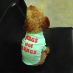 犬　Ｔシャツ【Hugs not Drugs】