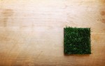 緑(グリーン)の芝(植物)の小物入れトレイ”midori-WC”
