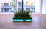 水面に浮かぶ小さな草原。メモクリップスタンド。芝memo。