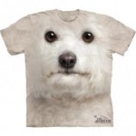 ビッグフェイス プリントTシャツ Bichon Frise(ビションフリーゼ)