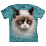 ビッグフェイス プリントTシャツ Grumpy Cat(ネコ)