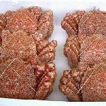 ボイル毛ガニ6尾4.0kg【クール便/送料無料】
