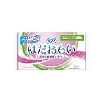 ソフィ はだおもい 多い日昼～ふつうの日用 羽つき ふわっとスリム ２１ｃｍ ２６個入