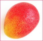 奄美完熟マンゴー1kg