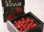 山形県 高級さくらんぼ　佐藤錦 【秀品】　化粧箱入り