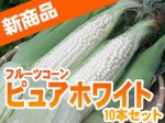 【送料無料】 帯広産 朝もぎスイートコーン ピュアホワイト