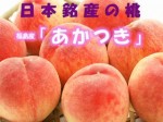 【送料無料】 無袋栽培　ジューシー果汁　福島産 桃