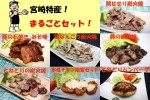 ★宮崎直送！全て手焼き！”鶏豚”まるごと７点（ご要望パック）★