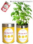 リトルガーデン栽培セット ロング缶タイプ 全６種 ［６点］