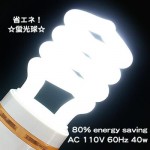 スパイラル型 蛍光球（40W） ［１０点］