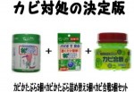 カビかたぶら５個+詰替え５個+カビ合戦５個