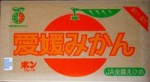 ！送料無料！愛媛みかん(箱売り・Lサイズ)