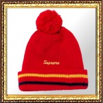 Supreme Lse Guage Stripe Beanie/シュプリーム・ストライプ・ビーニー