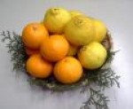 春の柑橘2種セット　はるかと清見オレンジ 