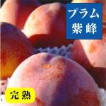 山梨高級プラム・紫峰すもも 11～12玉箱  